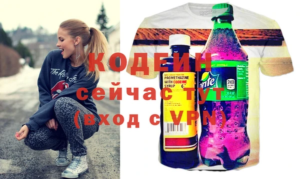 тгк Абаза