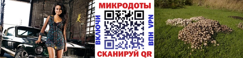 OMG как зайти  Нестеровская  Псилоцибиновые грибы MAGIC MUSHROOMS  цена наркотик 