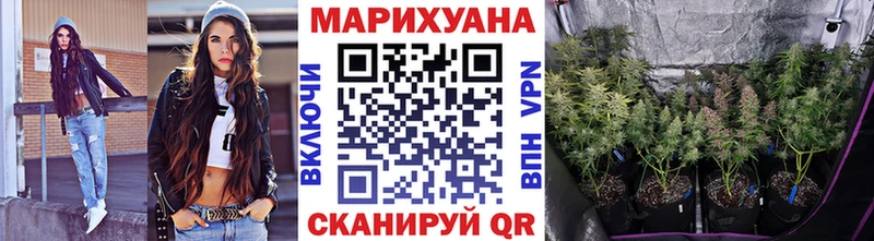 Конопля VHQ  как найти закладки  Нестеровская 